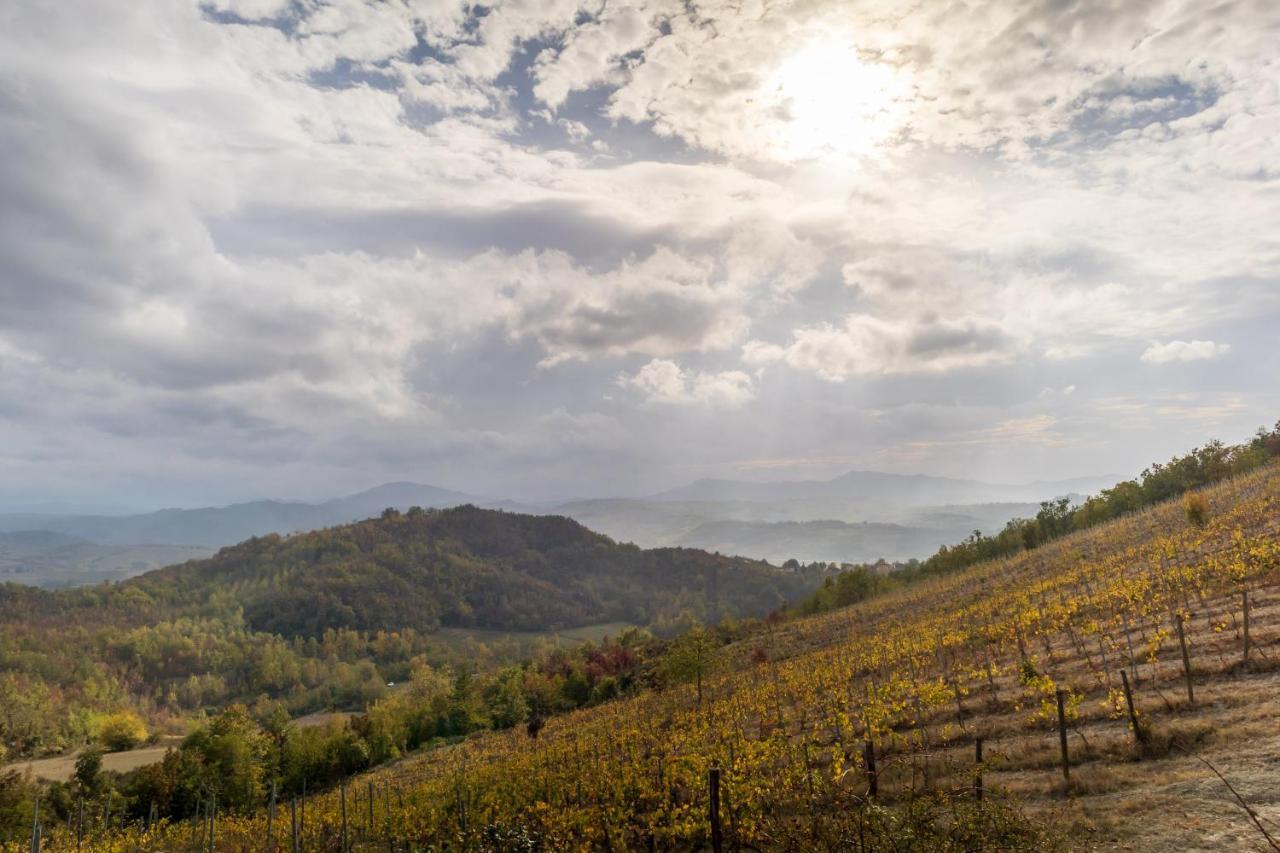 Oasi Di Mastarone - Il Vino E Le Rose Vila Momperone Exterior foto