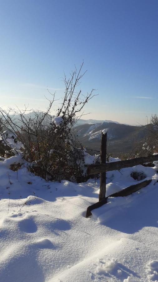 Oasi Di Mastarone - Il Vino E Le Rose Vila Momperone Exterior foto