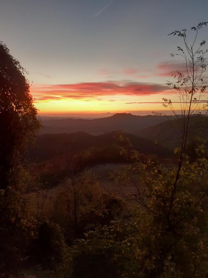 Oasi Di Mastarone - Il Vino E Le Rose Vila Momperone Exterior foto
